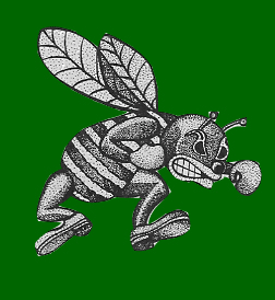 Hornets